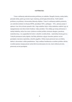 Pagrindinės Lietuvos ekonominės problemos. Paveikslėlis 4