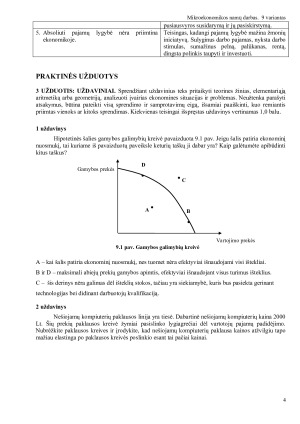 Mikroekonomikos namų darbas. Paveikslėlis 4