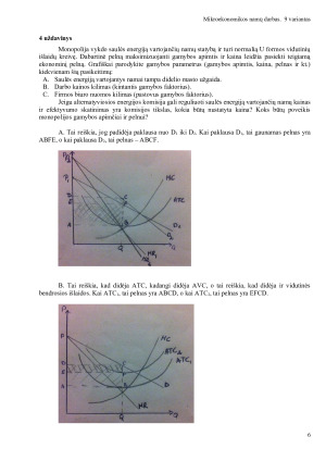 Mikroekonomikos namų darbas. Paveikslėlis 6