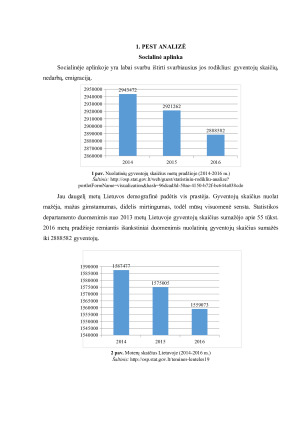 Socialinė aplinka. Pest analizė