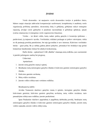 UAB „Baldita“ ekonominių rodiklių skaičiavimas ir vertinimas. Paveikslėlis 3