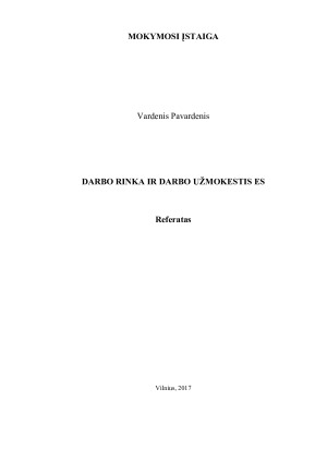 DARBO RINKA IR DARBO UŽMOKESTIS ES