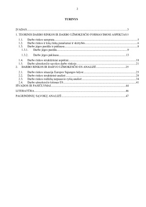 DARBO RINKA IR DARBO UŽMOKESTIS ES. Paveikslėlis 2
