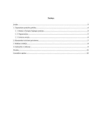 Tarptautinė prekybos politika - ES kryptys, Lietuvos atvejis ir besivystančių šalių iššūkiai