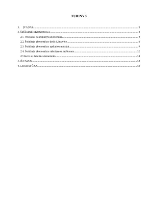 ŠEŠĖLINĖS EKONOMIKOS APSKAITOS GALIMYBĖS IR METODAI. Paveikslėlis 2