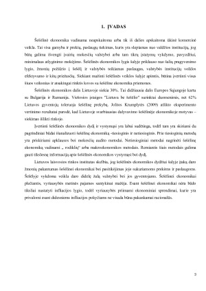 ŠEŠĖLINĖS EKONOMIKOS APSKAITOS GALIMYBĖS IR METODAI. Paveikslėlis 3