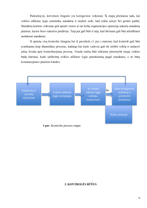 KONTROLĖS RŪŠIŲ ANALIZĖ. Paveikslėlis 6