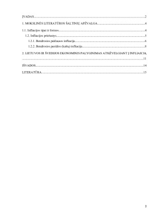 INFLIACIJOS PRIEŽASTYS. Paveikslėlis 2
