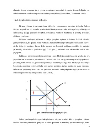 INFLIACIJOS PRIEŽASTYS. Paveikslėlis 6