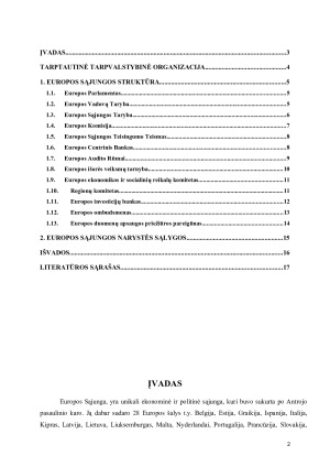 ES kaip tarptautinė tarpvalstybinė organizacija, jos struktūra bei narystės sąlygos. Paveikslėlis 2