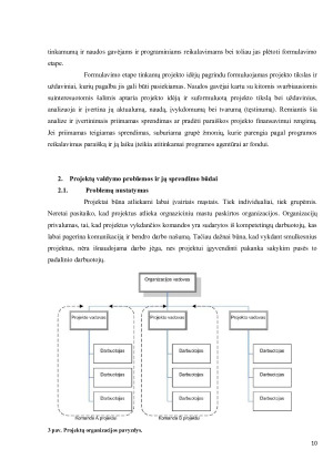 Sėkmingo projekto prielaidos. Paveikslėlis 10