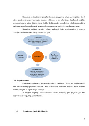 Sėkmingo projekto prielaidos. Paveikslėlis 5