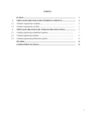 VIRTUALIOS ORGANIZACIJOS IR JŲ VEIKLOS SPECIFIKA. Paveikslėlis 2