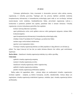 VIRTUALIOS ORGANIZACIJOS IR JŲ VEIKLOS SPECIFIKA. Paveikslėlis 3