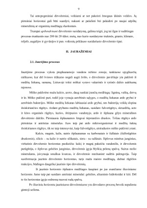 DUMBLIŲ PANAUDOJIMAS MEDICINOJE. Paveikslėlis 9