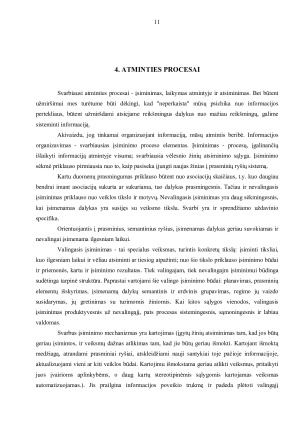 ATMINTIS IR JOS RŪŠYS. Paveikslėlis 10