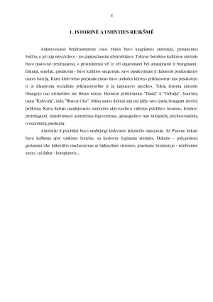 ATMINTIS IR JOS RŪŠYS. Paveikslėlis 3