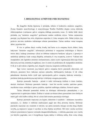 ATMINTIS IR JOS RŪŠYS. Paveikslėlis 7