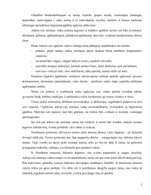 ASMENS HIGIENA. Paveikslėlis 3