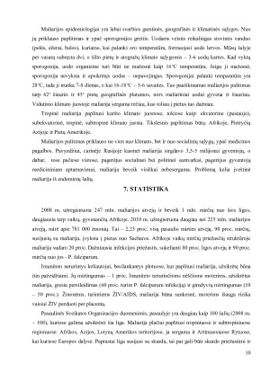 MALIARIJA. Paveikslėlis 10