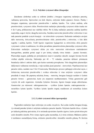 MALIARIJA. Paveikslėlis 6