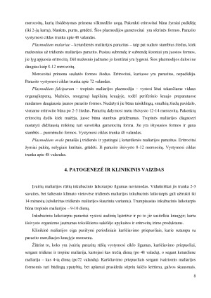 MALIARIJA. Paveikslėlis 8