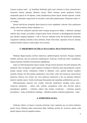 MALIARIJA. Paveikslėlis 9