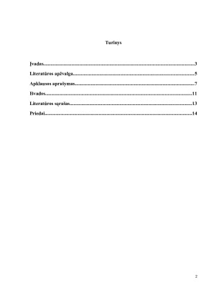 INSULINO ŠVIRKŠTIMO YPATUMAI SERGANT CUKRINIU DIABETU. Paveikslėlis 2