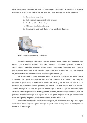 STUBURO SLANKSTELIŲ PAŽEIDIMAI IR JŲ TYRIMAI. Paveikslėlis 9