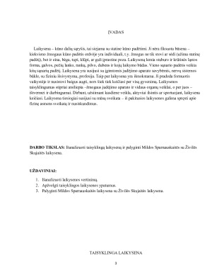 Laikysenos vertinimas. Paveikslėlis 3