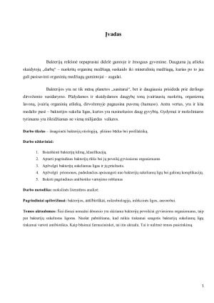 Bakterijos jų etiologija, plitimas ir profilaktikos priemonės