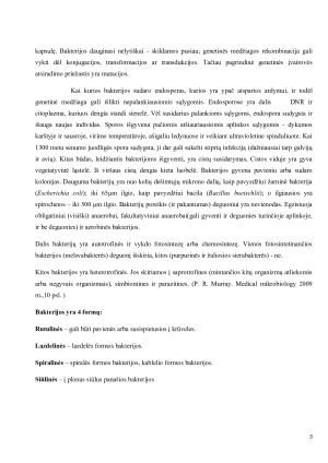 Bakterijos jų etiologija, plitimas ir profilaktikos priemonės. Paveikslėlis 3