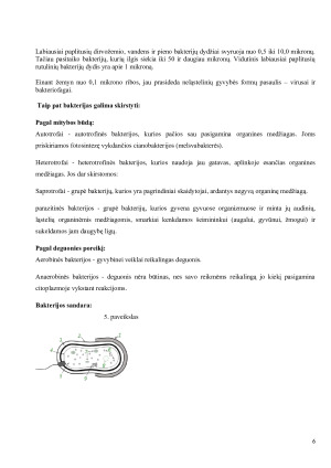 Bakterijos jų etiologija, plitimas ir profilaktikos priemonės. Paveikslėlis 6