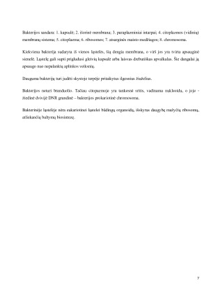 Bakterijos jų etiologija, plitimas ir profilaktikos priemonės. Paveikslėlis 7