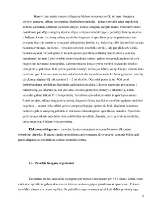 ERKINIS ENCEFALITAS. Paveikslėlis 6