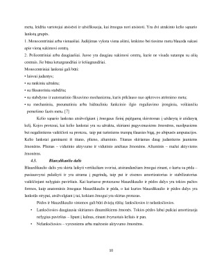 KOJOS PROTEZAI. Paveikslėlis 10