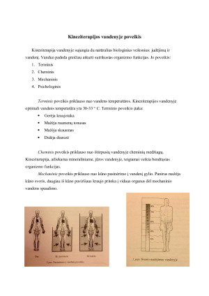 GYDOMIEJI PRATIMAI BASEINE sergant stuburo ligomis. Paveikslėlis 4