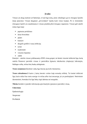 Kiaulytė ir jos sukeltos infekcijos. Paveikslėlis 3