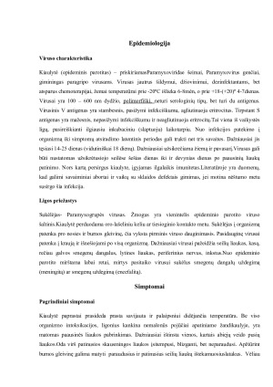 Kiaulytė ir jos sukeltos infekcijos. Paveikslėlis 4