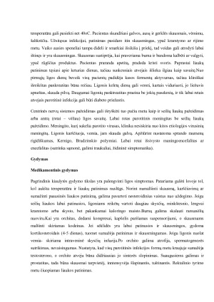 Kiaulytė ir jos sukeltos infekcijos. Paveikslėlis 5