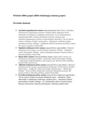 Viršutinės galūnės raumenys ir fascijos. Paveikslėlis 5