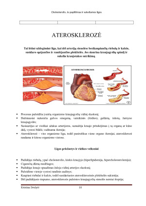 CHOLESTEROLIS. JO PAPLITIMAS IR SUKELIAMOS LIGOS. Paveikslėlis 10