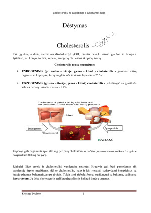 CHOLESTEROLIS. JO PAPLITIMAS IR SUKELIAMOS LIGOS. Paveikslėlis 6