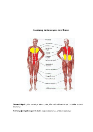 Laikysenos tyrimas ir kineziterapinio gydymo sudarymas. Paveikslėlis 7