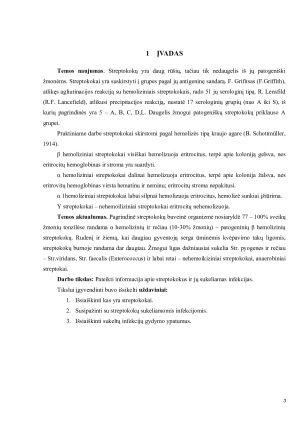 STREPTOKOKŲ SUKELTOS ODOS INFEKCIJOS. Paveikslėlis 3