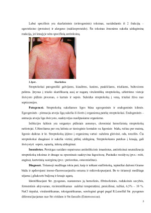 STREPTOKOKŲ SUKELTOS ODOS INFEKCIJOS. Paveikslėlis 5