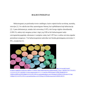 HALIUCINOGENAI IR JŲ BIOLOGINIS POVEIKIS. Paveikslėlis 4