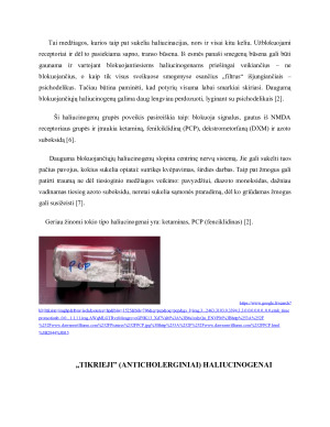 HALIUCINOGENAI IR JŲ BIOLOGINIS POVEIKIS. Paveikslėlis 8