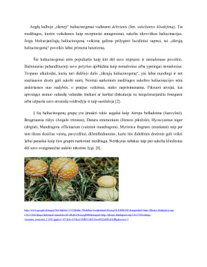 HALIUCINOGENAI IR JŲ BIOLOGINIS POVEIKIS. Paveikslėlis 9