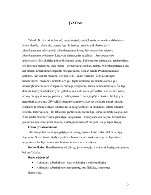 TUBERKULIOZĖ. Paveikslėlis 3
